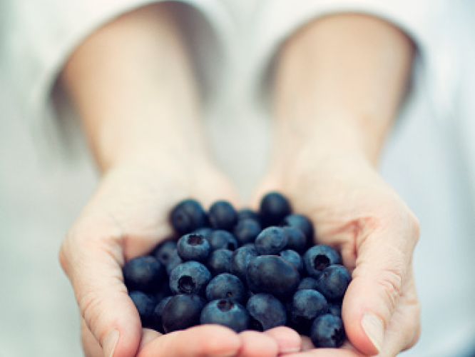 Heidelbeeren Hand